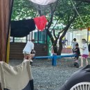 운문사계절캠핑장 | 경북 청도 - 부산근교 운문사계절캠핑장 : 수영장, 오토캠핑장 후기 (펜션, 카라반 내부)