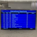 (유)태현렌트카 | [미국 서부여행] 샌프란시스코, Pier 39, 소토마레