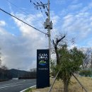 까사로마 풀빌라펜션 | 경북 청도 애견 동반 숙소 추천 : 까사로마 풀빌라 104호 내돈내산 후기 (시설/비품 완벽 정리)