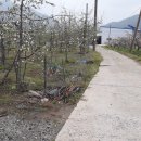 큰길부동산중개사무소 이미지