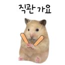 차오름뷰티 이미지