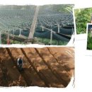 원준농장 이미지