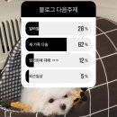 임다솜 이미지