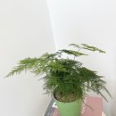 아트스톤 이미지