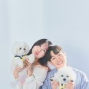 스튜디오몬탁