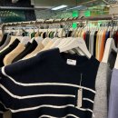 아산5호 이미지