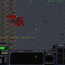 벙커속의저글링 이미지