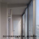 신방한라동백@ 2 이미지