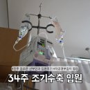 참조은날 | 34주 경부길이 짧음 조기수축 조산기 진주 참조은 입원 후기