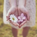 Classic meets Jazz 이미지