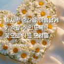 옥천성모병원 - 457 | [현진시닝 장례후기] 마지막 순간을 아름답게 기억할 수 있도록 꽃으로 하트 모양을