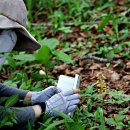 녹유정교육농장 이미지