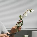 파크사이드재활의학병원 이미지