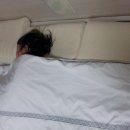판다림분당죽전