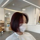 모리헤이즈