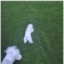 더블루네스 이미지