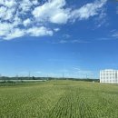 명동주유소 | 백두산여행 1일차 I 심양 서탑거리, 장백산 풀만호텔 (내돈내산 모두투어 패키지)