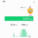 신아모텔 | [부동산]-&#34;대구 동구 분위기임장 후기&#34;(신암동/효목동/신천동)