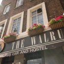 라인호스텔 이미지