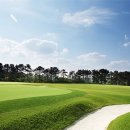 플라자C.C 이미지