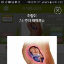 임당 네이버블로그