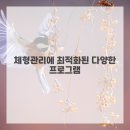 엠체형관리