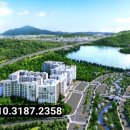 숲속의 아침 이미지