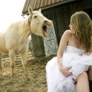 미녀와야수 이미지