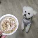 창대사료 이미지