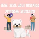 부산강아지장례 펫로스케어 유기동물 보호소에 기부할 물품! 이미지