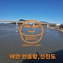 신진도조이 이미지