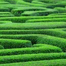 초록놀이터 이미지