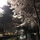 당현천 화장실 이미지