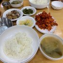 만성 위염증상 쉽게 호전되지 않을 때 양배추즙으로 도움받은 후기