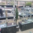 날 데려가주 개 이미지