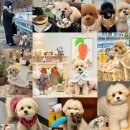 UR(의정부시)-[의정로]-하-32 | [HH's Daily Life]23.01.23~23.01.29