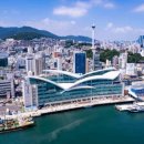 부산자갈치 이미지