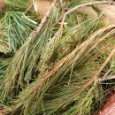 솔잎목장 이미지