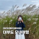 디톡스아일랜드 | 대부도 모녀여행 코스 디지털디톡스 아일랜드 엄마와 딸 후기