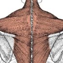 PT의 품격 이미지