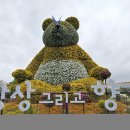 고양 고양꽃박람회 (2025.05.03) 이미지
