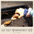 마마힐링하우스 | 5세 6세 아이와 구리 521생태테마파크 방문 솔직 후기 생태 교육의 중요성