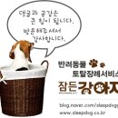 함께오래 동물병원 이미지