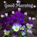 소소한이야기 이미지