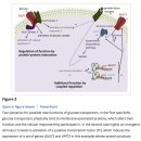 Re:Glucose transporters in cancer – from tumor cells to the tumor microenvironment 이미지