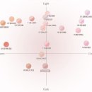 큐피트 | 쥬모저모 #24_투에이엔 듀얼치크 14 러브, 큐피트(후기)