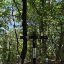 쉬어가리 | 대전 등산코스추천 왕복2시간30분 / 수통골 계룡산 금수봉 해발530m 등산 후기