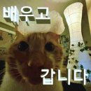 애드티브이노베이션(주) | Team ㅇㅈ 잘하고잇읍미다악