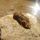 서운동산펜션 이미지