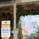 레스토랑마리서사본점 이미지